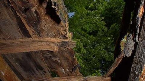 GOING COASTAL MEET'15 - Anthes-Beach-Houses11.jpg