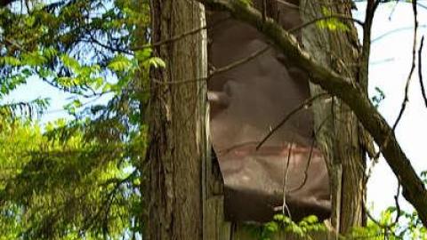 GOING COASTAL MEET'15 - Anthes-Beach-Houses50.jpg