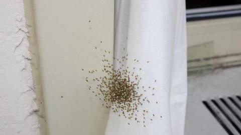 Niagara Gateway Motel photo 5