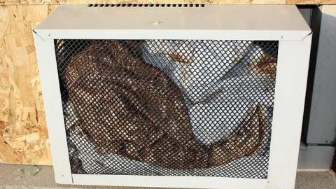 Niagara Gateway Motel - Niagara Falls, Ontario