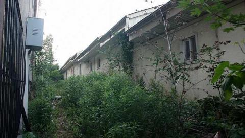 May 2015 - 30May-15C 205.jpg