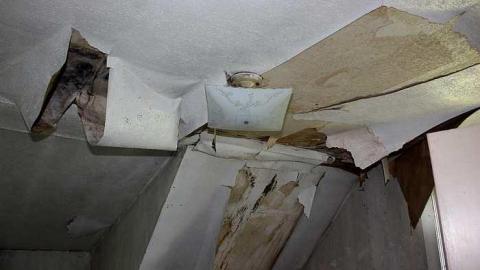 May 2015 - 30May-15C 517.jpg