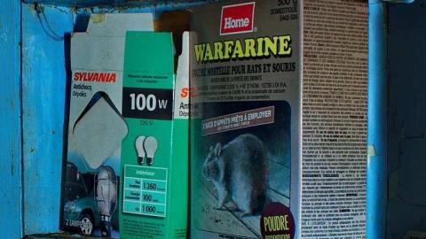 Photo from WARFARINE ! MEET'15