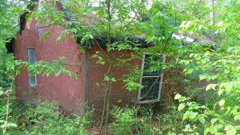 Big Eddy - Big-Eddy13.jpg