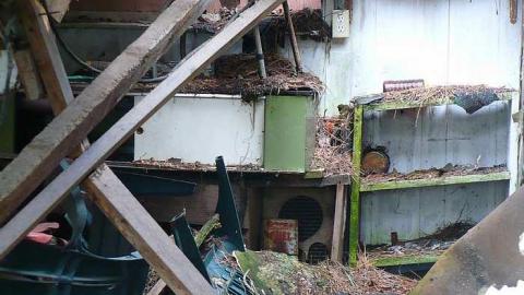 Big Eddy - Big-Eddy11.jpg