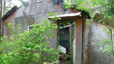 Big Eddy - Big-Eddy7.jpg