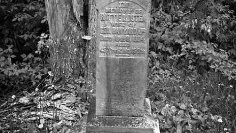Bethel Cemetery 2015 - Bethel-Cemetery31.jpg