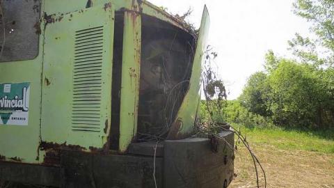 Crane Reclaimed by Nature photo 2