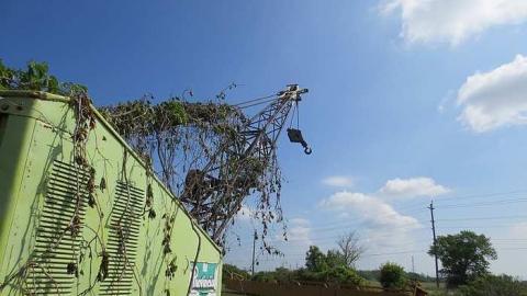 Crane Reclaimed by Nature photo 4