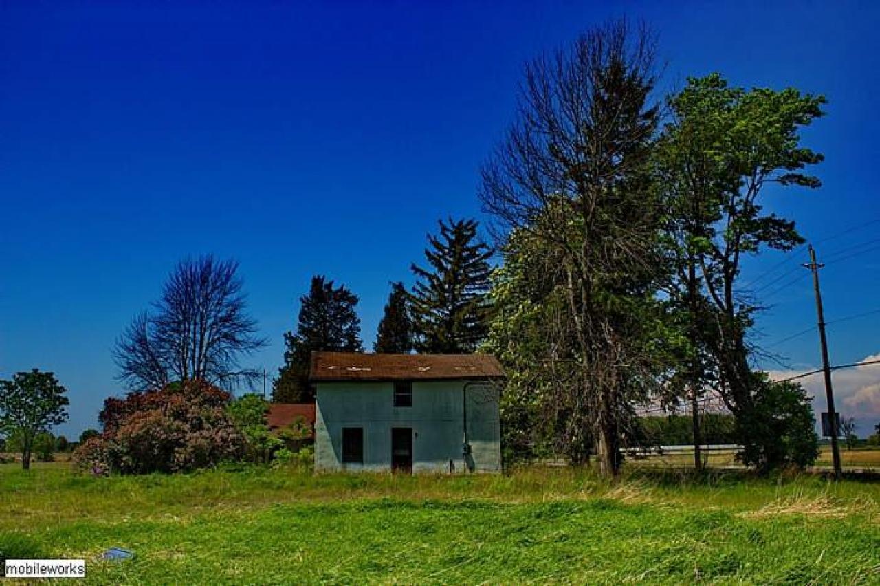 Easy Flow Floors MEET'15 - OAP 2015 Meet Adds  abtownset 086.jpg