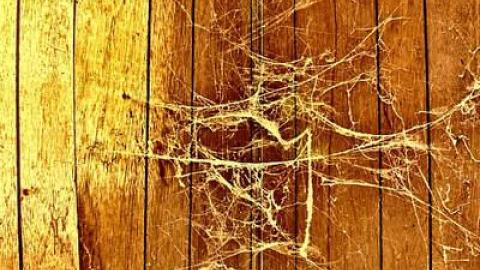 Easy Flow Floors MEET'15 - OAP 2015 Meet Adds  abtownset 091.jpg