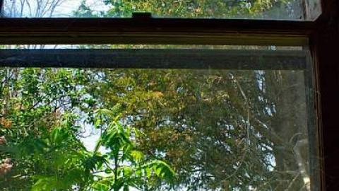 Easy Flow Floors MEET'15 - OAP 2015 Meet Adds  abtownset 092.jpg