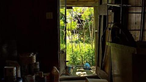 Easy Flow Floors MEET'15 - OAP 2015 Meet Adds  abtownset 093.jpg