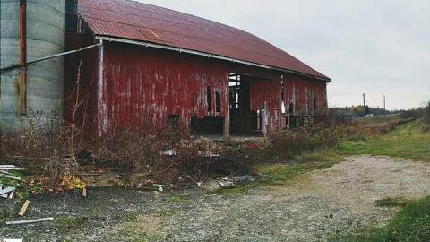 Lumber Central - Old-Barn47.jpg