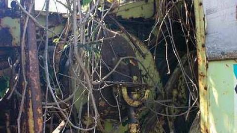 May 2015 - Crane-Reclaimed-by-Nature21.jpg