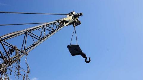 May 2015 - Crane-Reclaimed-by-Nature22.jpg