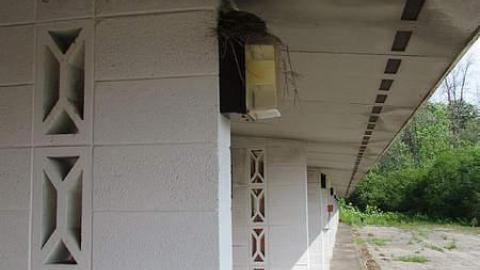 No Pets - Gateway-07.jpg