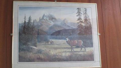 No Pets - Gateway-17.jpg