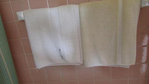 No Pets - Gateway-24.jpg