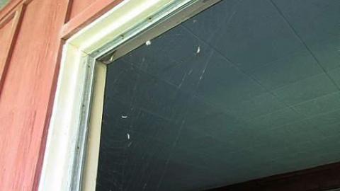 No Pets - Gateway-37.jpg