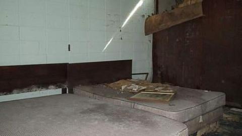 No Pets - Gateway-38.jpg