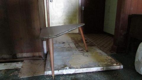 No Pets - Gateway-42.jpg