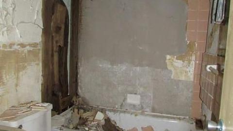 No Pets - Gateway-43.jpg