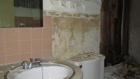 No Pets - Gateway-44.jpg