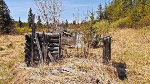 Ware Pioneer Collapse - Washbucket-Pioneer-Collapse6.jpg