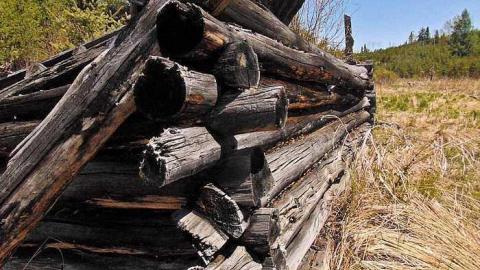 Ware Pioneer Collapse - Washbucket-Pioneer-Collapse2.jpg