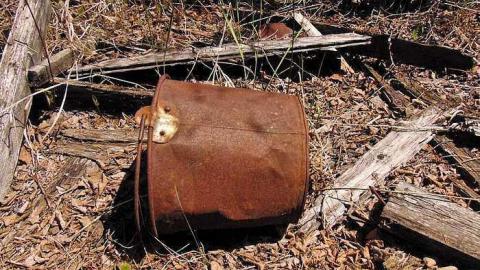 Ware Pioneer Collapse - Washbucket-Pioneer-Collapse3.jpg