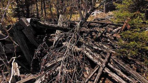 Ware Pioneer Collapse - Washbucket-Pioneer-Collapse11.jpg