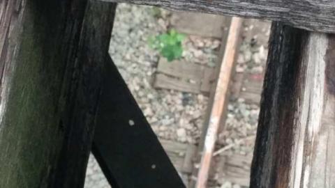 May 2015 - Prince-of-Wales-Bridge56.jpg