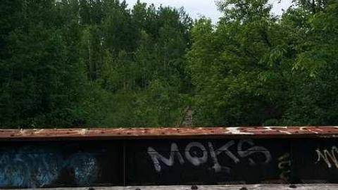 May 2015 - Prince-of-Wales-Bridge27.jpg