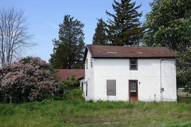 RIP Randy Rhoads - DSC07976.jpg