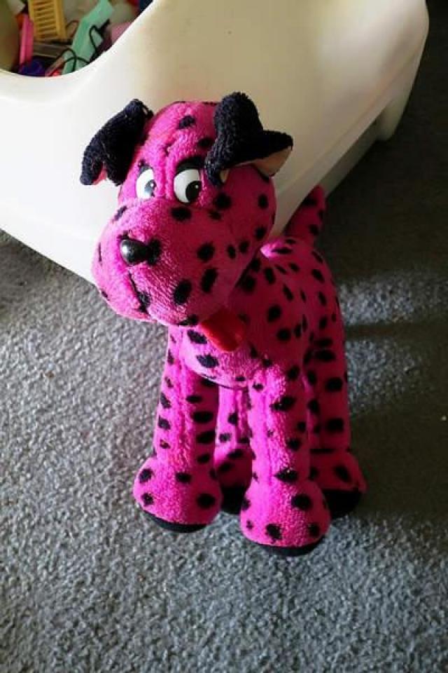 RIP Randy Rhoads - DSC08019.jpg