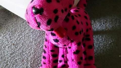 RIP Randy Rhoads - DSC08019.jpg