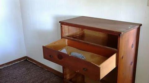 RIP Randy Rhoads - DSC08037.jpg