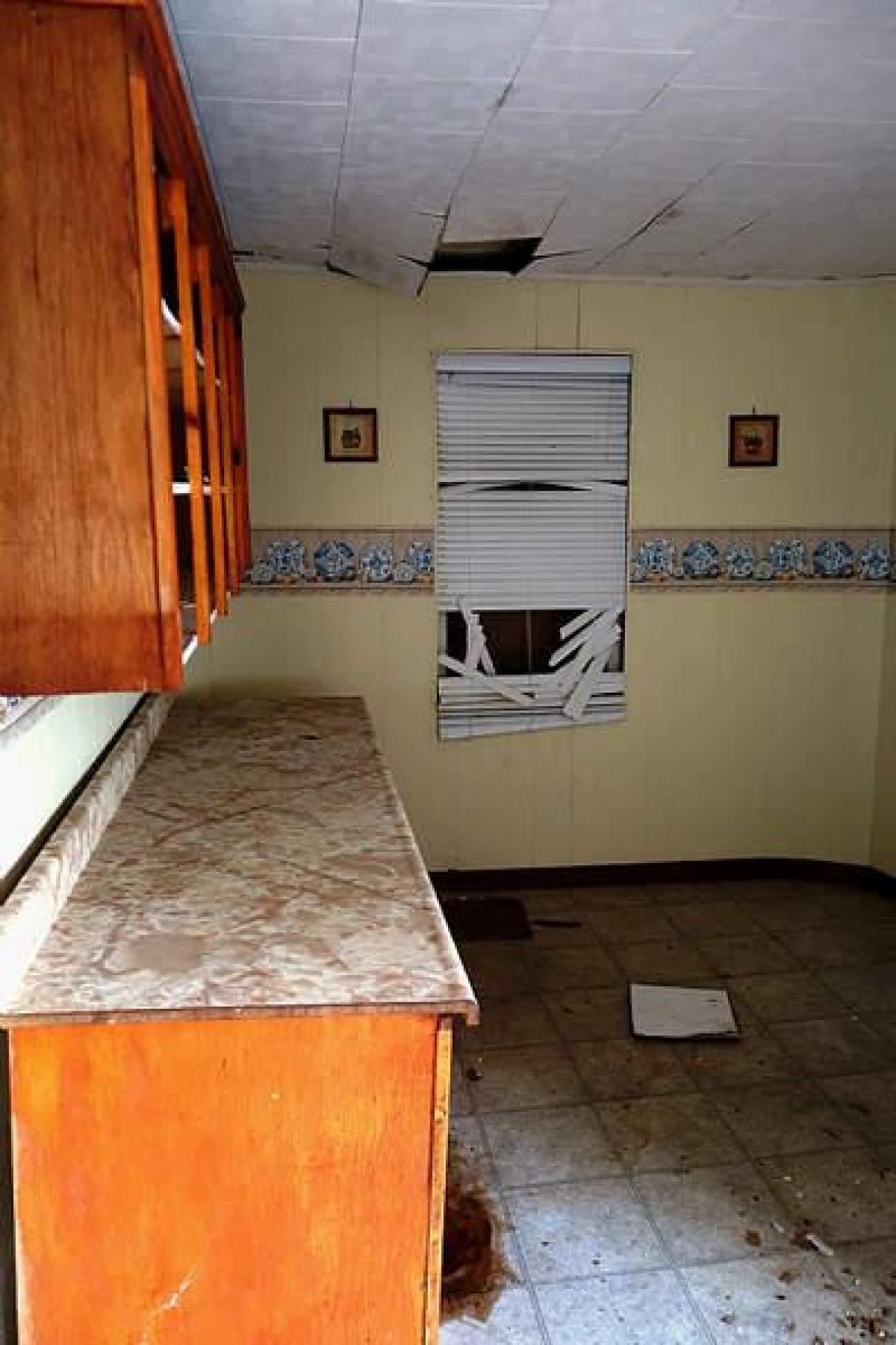 RIP Randy Rhoads - DSC08046.jpg