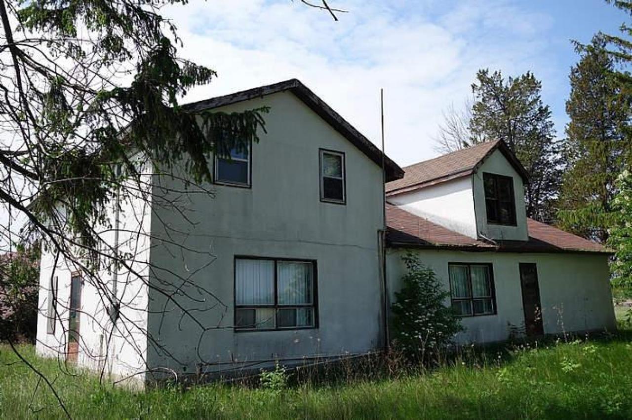 RIP Randy Rhoads - DSC08068.jpg