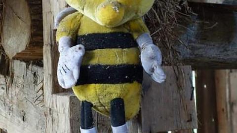 Photo from RIP Randy Rhoads