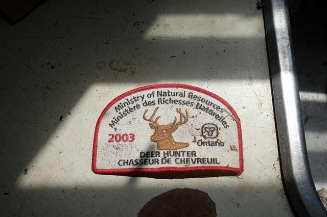 Swinging In '15 - DSC08098.jpg