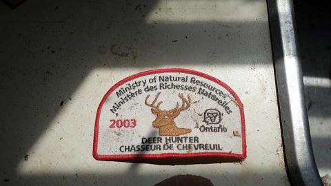 Swinging In '15 - DSC08098.jpg