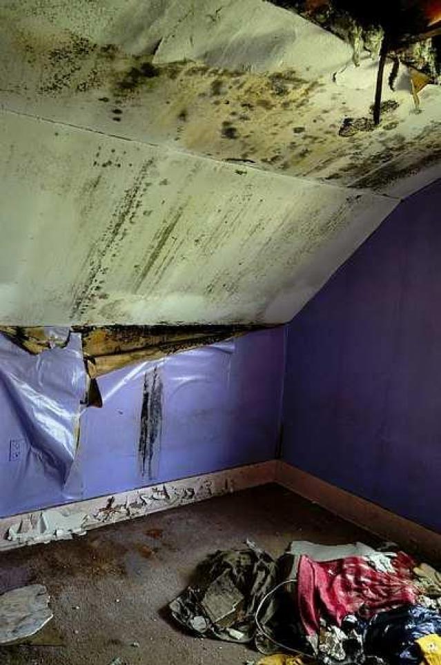 Swinging In '15 - DSC08134.jpg