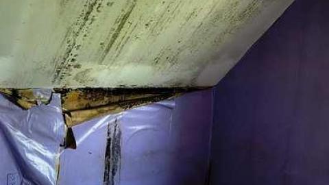 Swinging In '15 - DSC08134.jpg