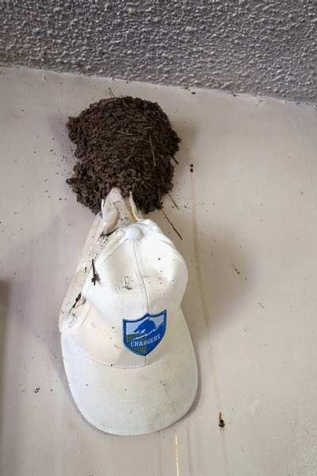 Swinging In '15 - DSC08141.jpg