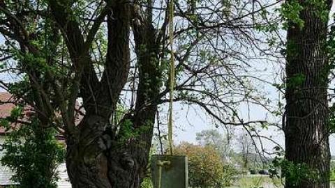 Swinging In '15 cover photo