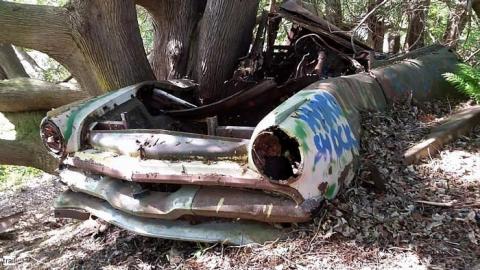 June 2015 - Forgotten-at-Pilkington-Overlook43.jpg