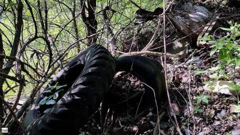 June 2015 - Forgotten-at-Pilkington-Overlook1.jpg