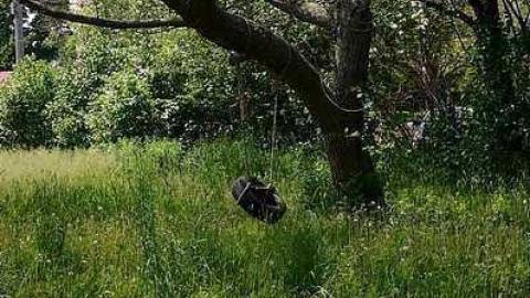 Educational Storage - fiimage.jpg